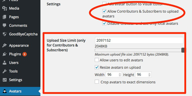 WP User Avatar Plugin Upload Avatar Setting