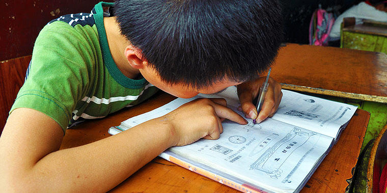 Chinese Kid Studying Maths
