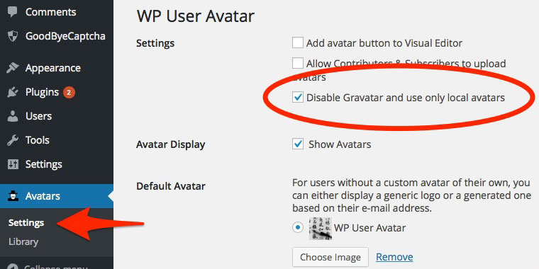 WP User Avatar Plugin Settings